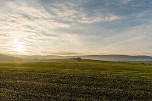 Президент України Петро Порошенко подав законопроект до парламенту 6 грудня