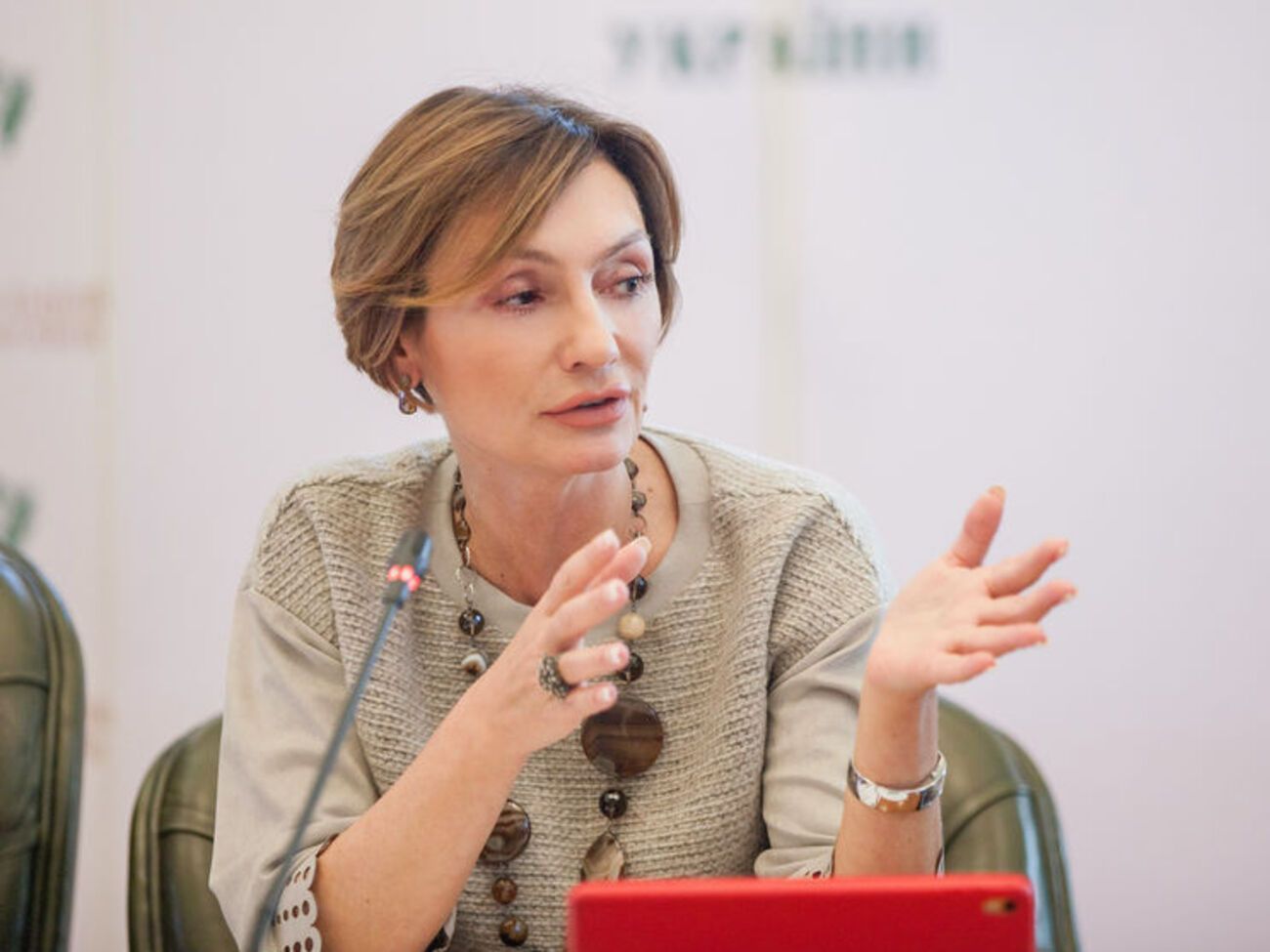 Рожкова:&nbsp;Мы так или иначе вернули бы пакет