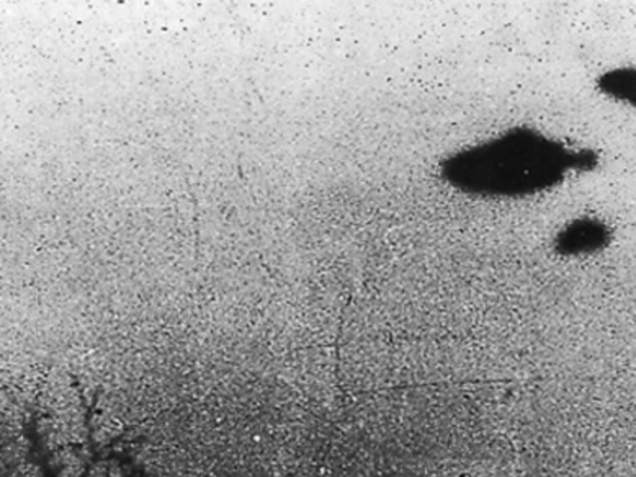 Программа продолжает действовать, хотя средства на нее больше не выделяют, пишет газета