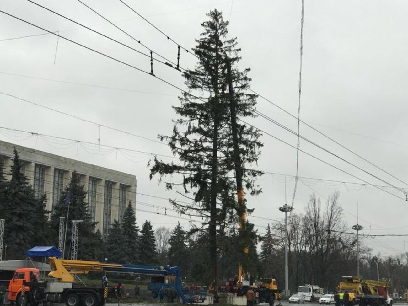Українська новорічна ялинка оскандалилася в Кишиневі