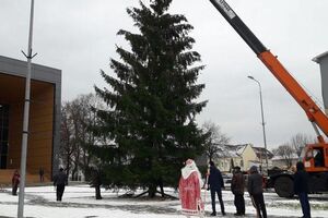 Ялинку перевозили під наглядом "Діда Мороза"