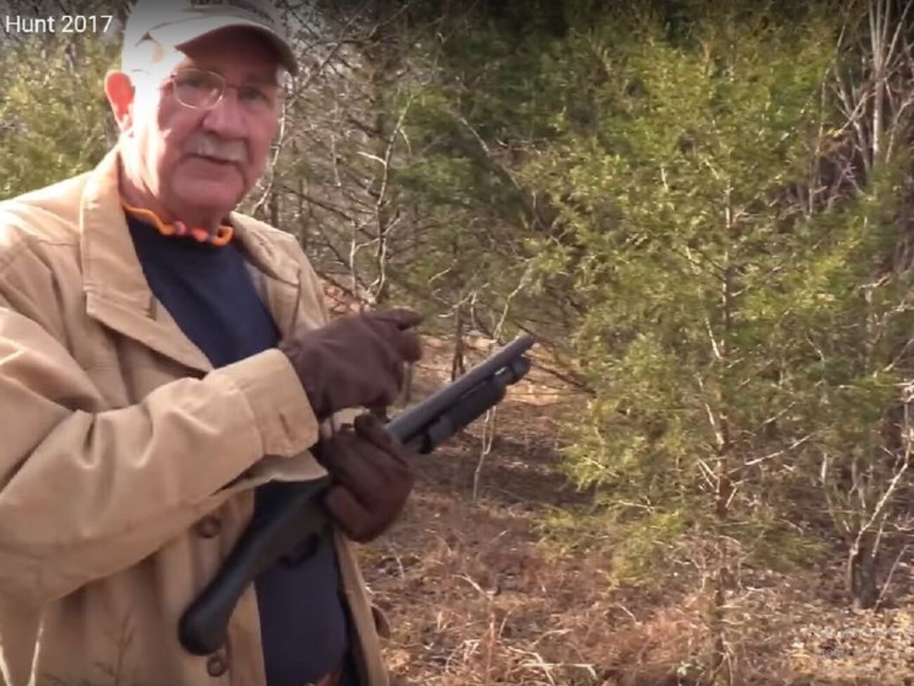 Ялинку збили одним пострілом