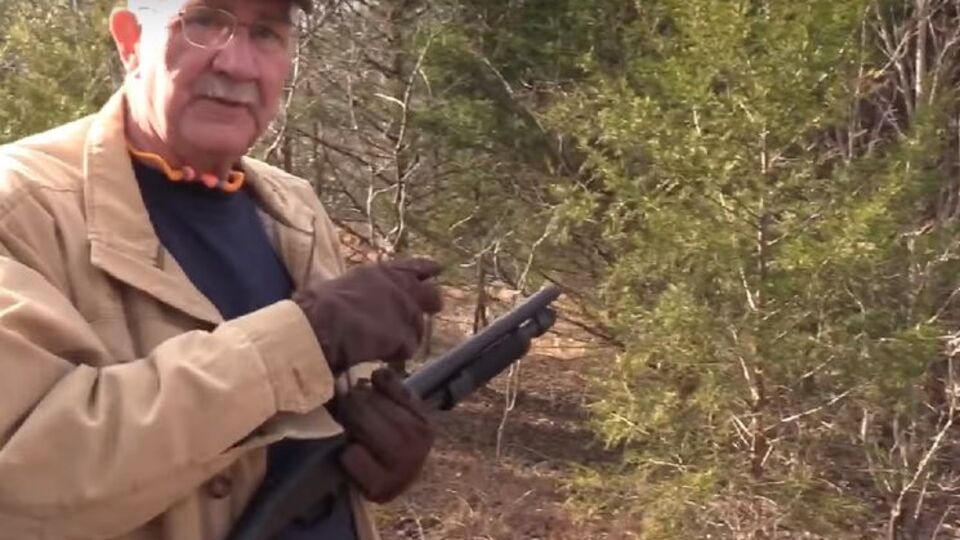 Ялинку збили одним пострілом
