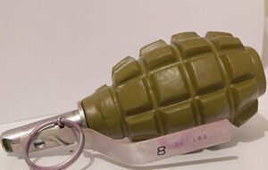 Неизвестный, кроме гранаты, обещал взорвать более мощное взрывное устройство – СМИ