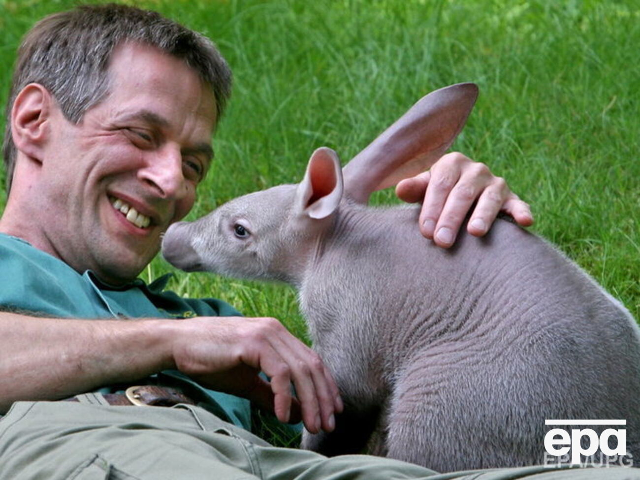 Трубкозуба називають "земляним поросям"