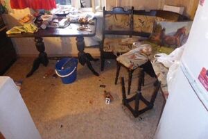 Поліція затримала сонного власника квартири, де стався інцидент