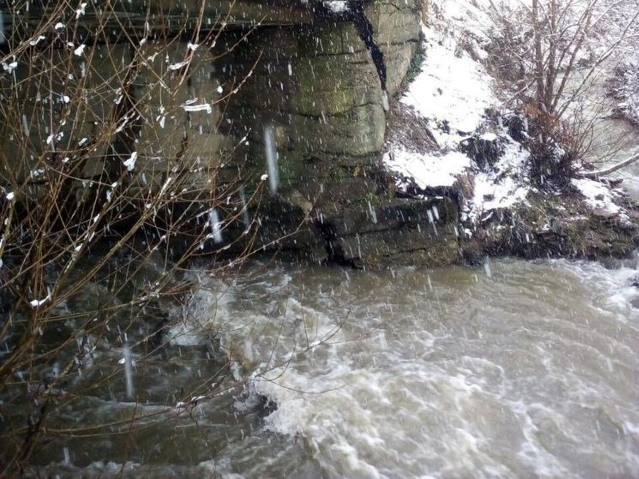 У ДСНС повідомили про підйом рівня води в річках на заході країни