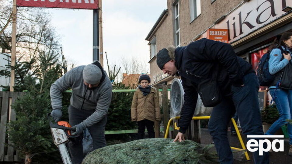 Польские пограничники проверили деятельность фирм, которые занимаются трудоустройством иностранцев