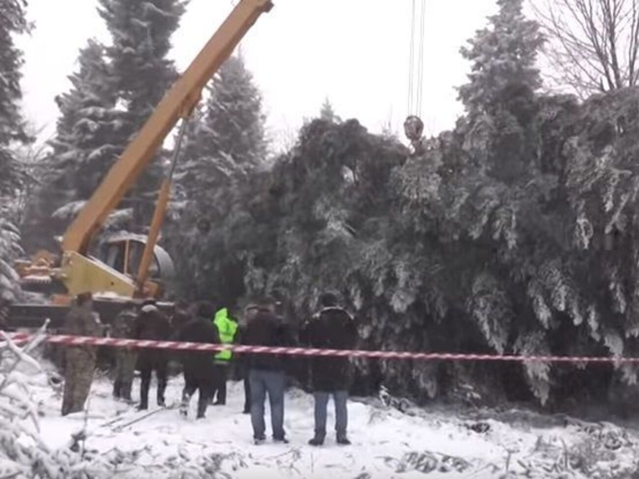 Сегодня елка уже должна прибыть в Киев