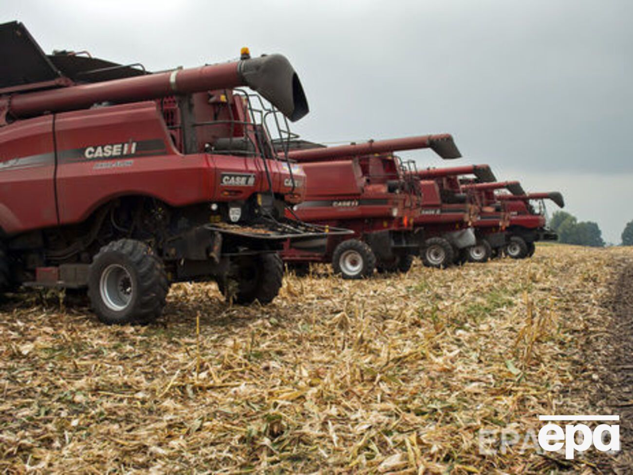 В МВФ расчитывали, что мораторий на продажу земли в Украине отменят в конце 2017 года