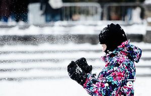 В Оттаве отменена вся музыкальная программа