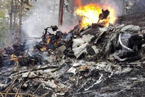 Самолет упал в лесу