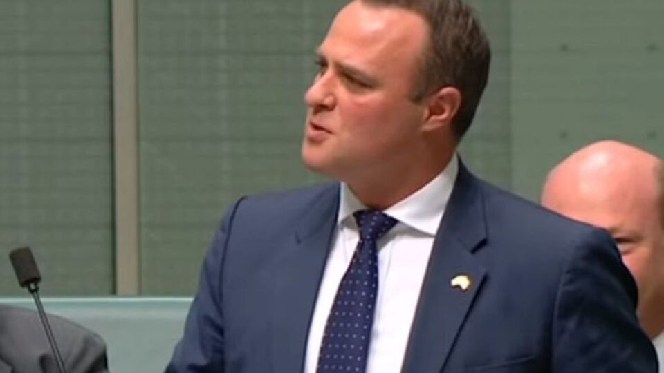 Уилсон сделал предложение своему партнеру