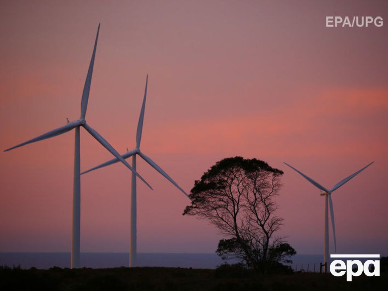 Google підписала контракти з трьома новими вітровими станціями