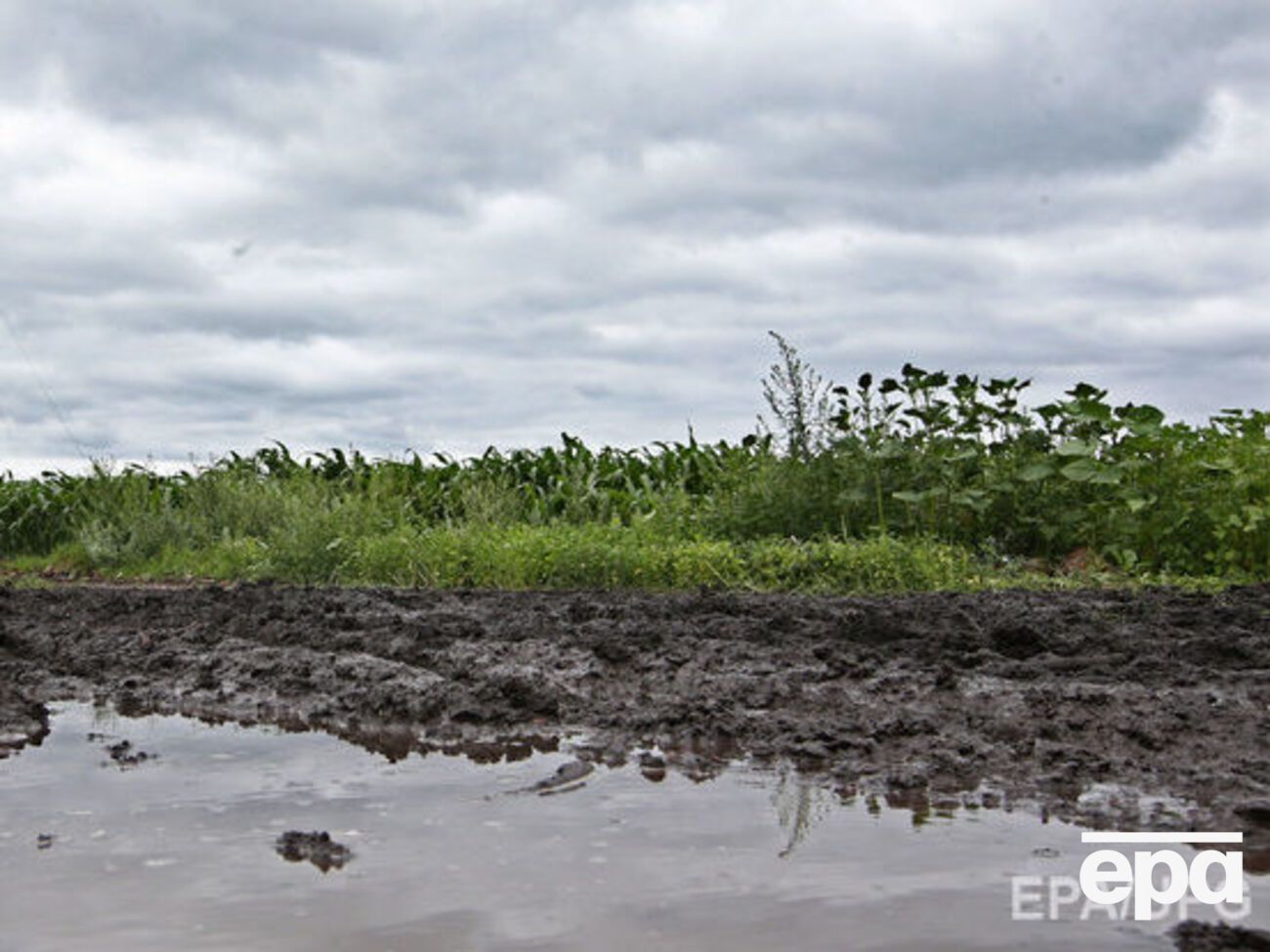 Верховна Рада може продовжити мораторій на продаж землі ще на рік