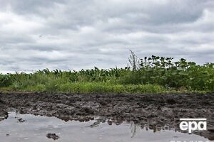 Верховна Рада може продовжити мораторій на продаж землі ще на рік