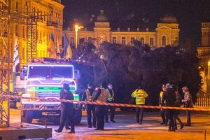 Головну ялинку України зрізали в Івано-Франківській області 2 грудня