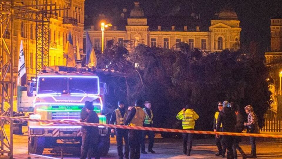Головну ялинку України зрізали в Івано-Франківській області 2 грудня