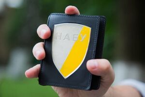 Организация предупредила, что украинские антикоррупционные органы могут потерять независимость