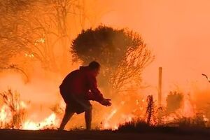 После нескольких неудачных попыток ему удается достать кролика из очага возгорания