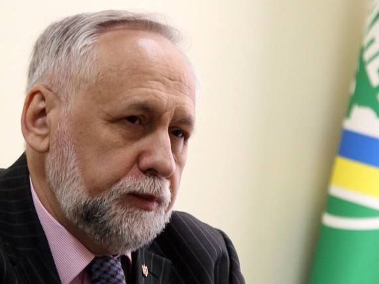 Юрий Кармазин: В действиях Алины Данченко прослеживаются как минимум признаки преступления, предусмотренного ст. 367 УК Украины