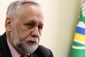 Юрий Кармазин: В действиях Алины Данченко прослеживаются как минимум признаки преступления, предусмотренного ст. 367 УК Украины