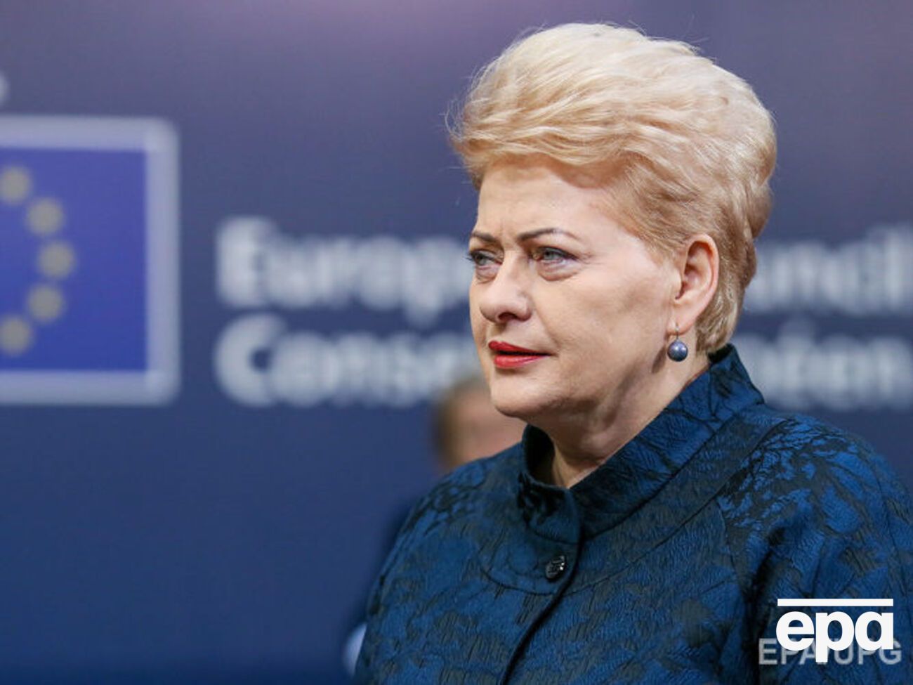 Грібаускайте про Саакашвілі: Ми не втручаємося