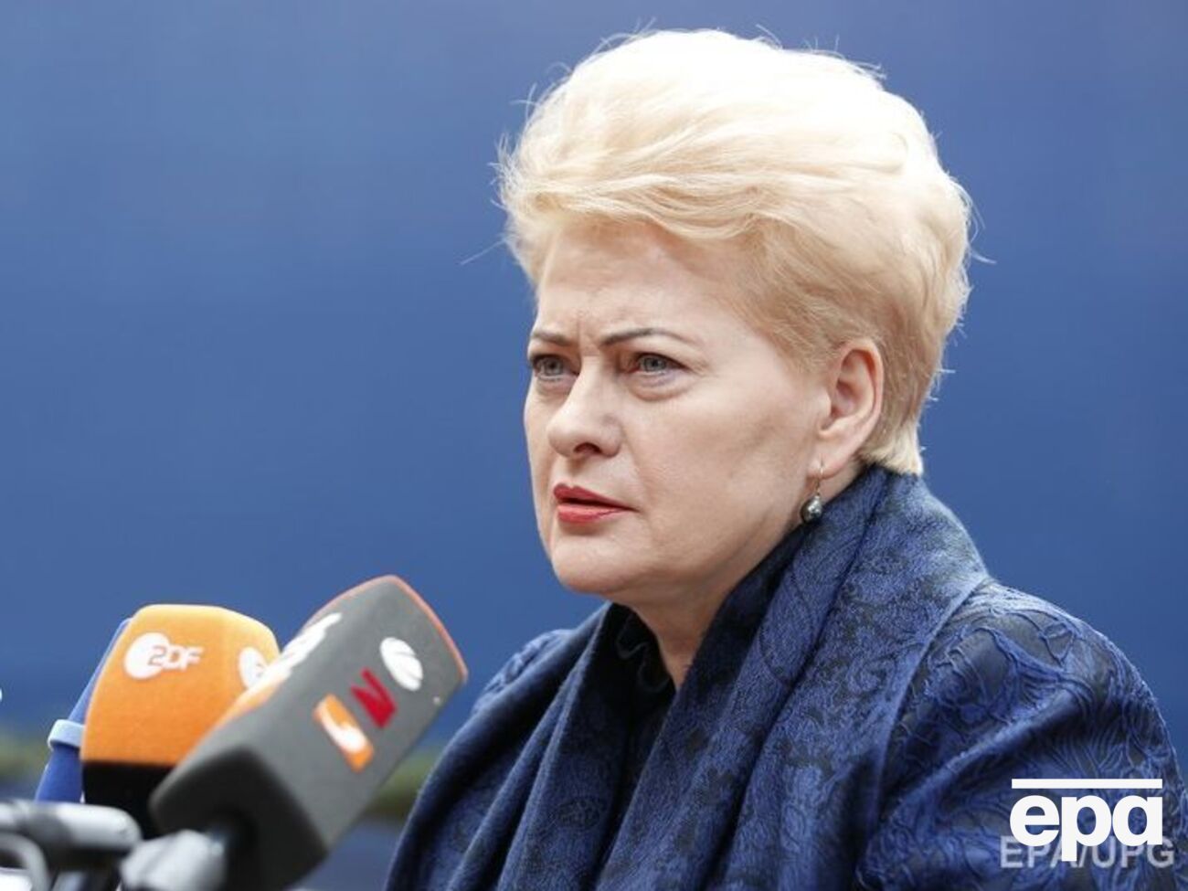 Грибаускайте: ЕС и Литва поддерживают реформы в Украине, которые направлены на борьбу с коррупцией