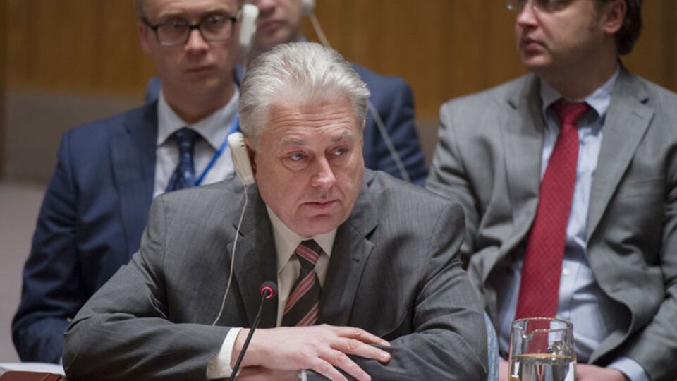 Ельченко: Отменить право вето России в Совбезе ООН невозможно