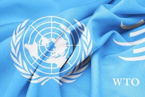 Від СОТ Україна очікує розв’язання проблем щодо транзиту товарів через РФ