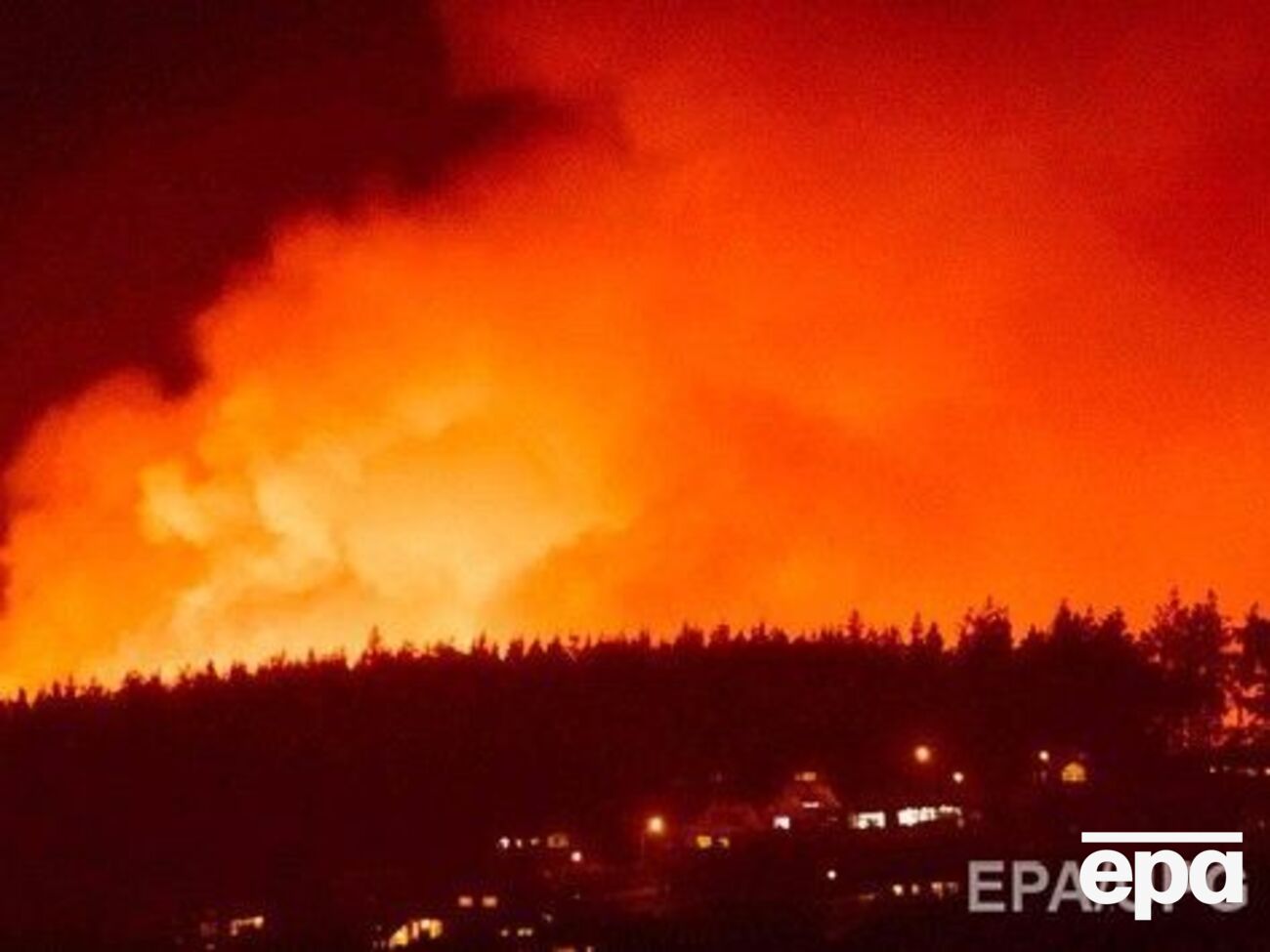 Жители Новой Зеландии страдают от лесных пожаров