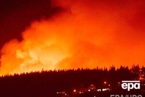 Жители Новой Зеландии страдают от лесных пожаров