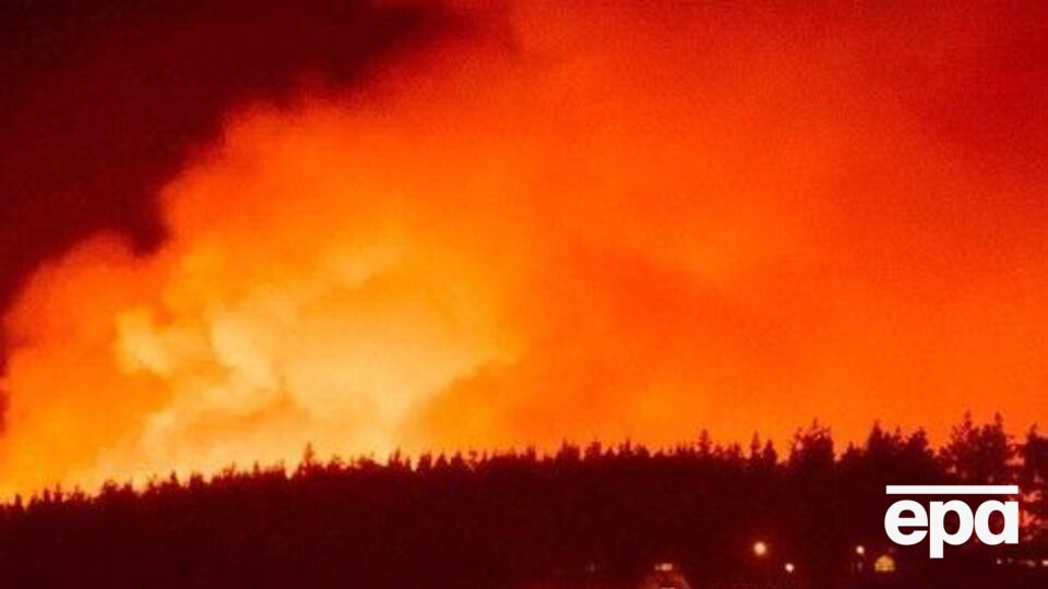 Жители Новой Зеландии страдают от лесных пожаров