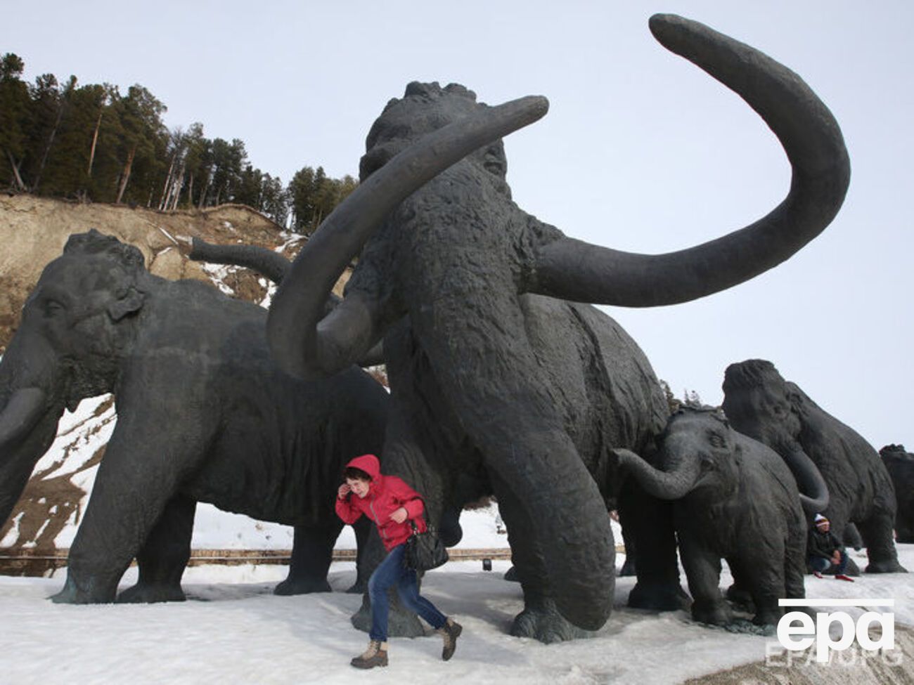 Для скрещивания генетики используют ДНК мамонта и азиатского слона