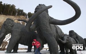 Для скрещивания генетики используют ДНК мамонта и азиатского слона