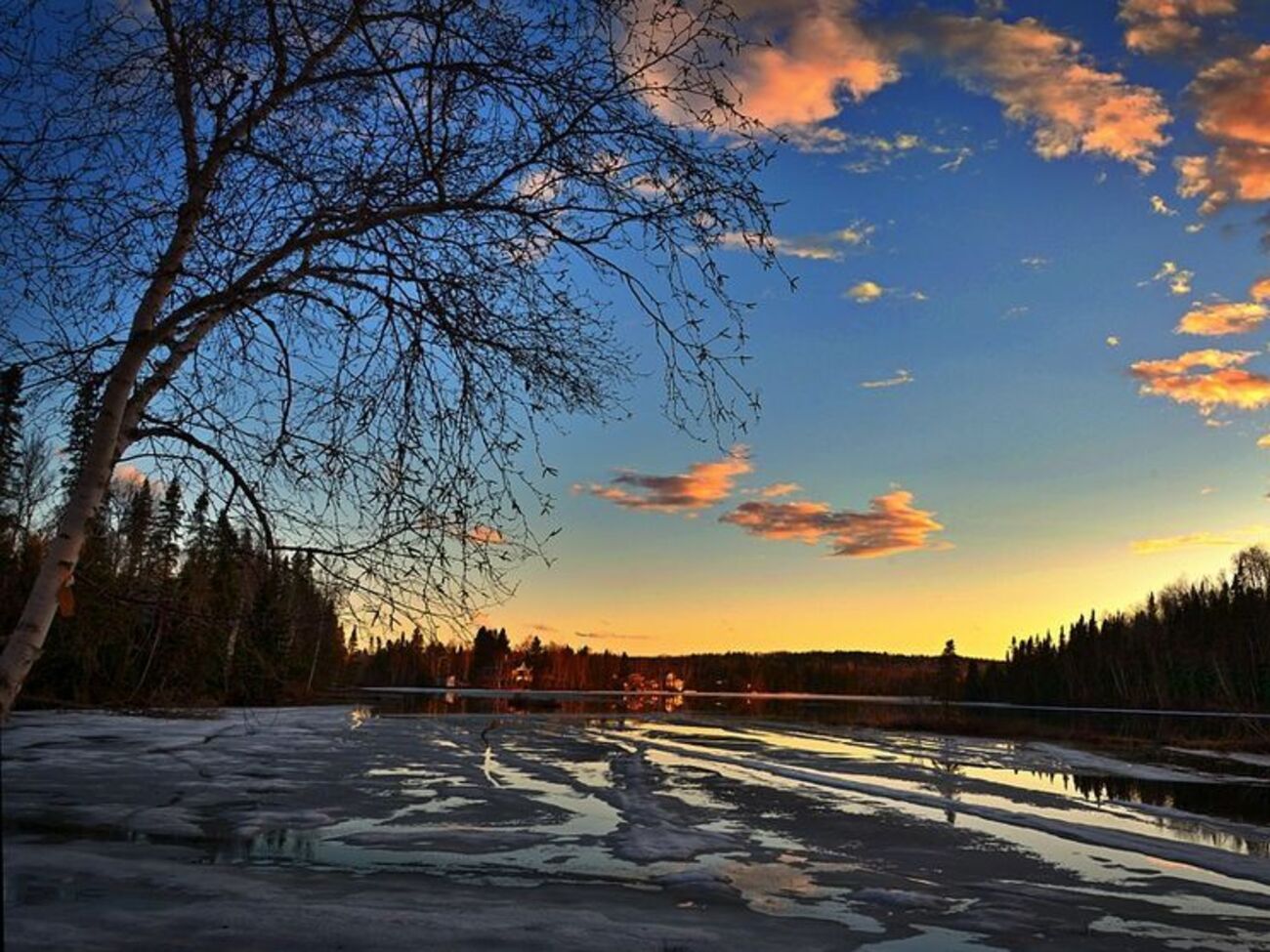 Цього тижня стовпчик термометра в Україні підніметься до +14