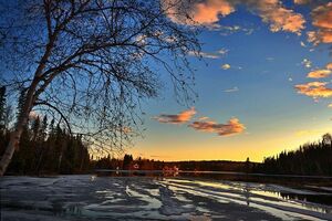 На этой неделе столбик термометра в Украине поднимется до +14