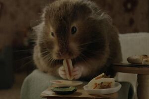 Хомяк стал главным героем клипа Перри