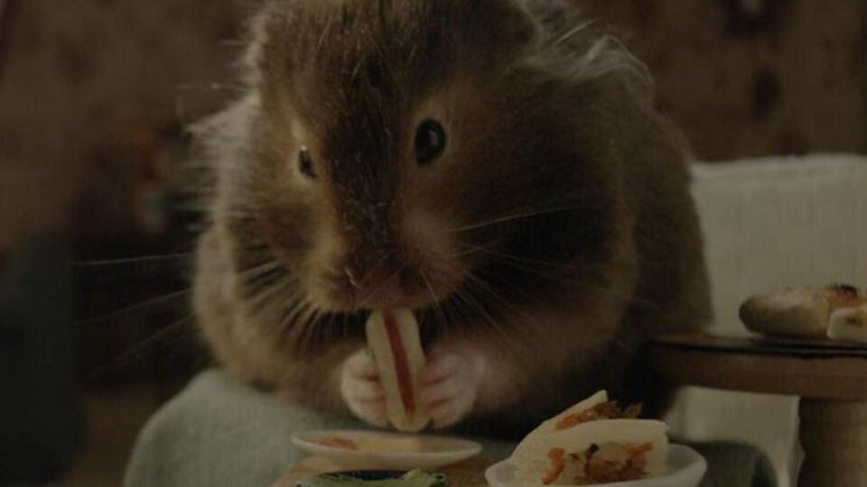 Хомяк стал главным героем клипа Перри