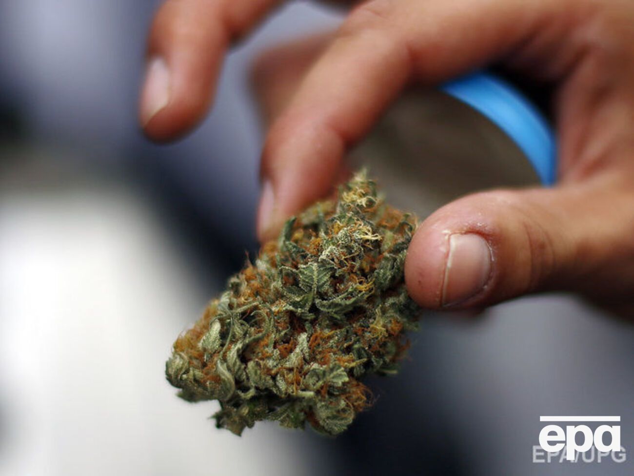 Во время обысков правоохранители изъяли у злоумышленников шесть мешков марихуаны и оборудование для ее переработки