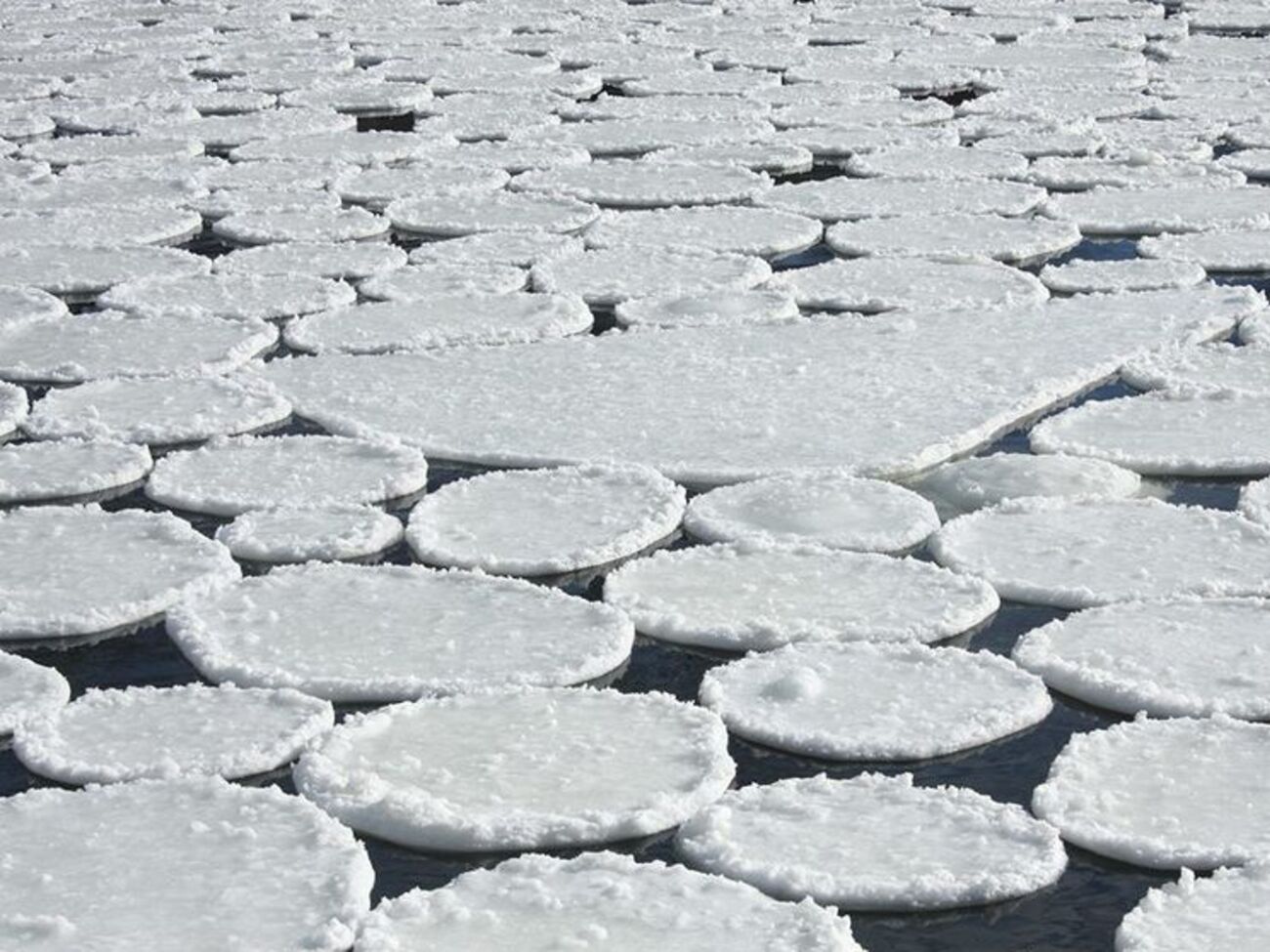 На Ворсклі утворилися круглі крижини