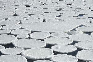 На Ворсклі утворилися круглі крижини