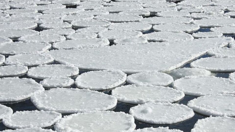 На Ворсклі утворилися круглі крижини