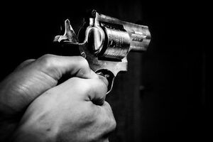 Полиция устанавливает личность преступника, в области действует план "Сирена"