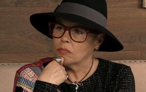 Медушевская: Гончаренко пиарится, это факт, но он пиарит и Украину