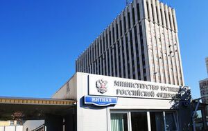 Минюст РФ готов подготовить законопроект об изменении статьи 212.1 Уголовного кодекса РФ