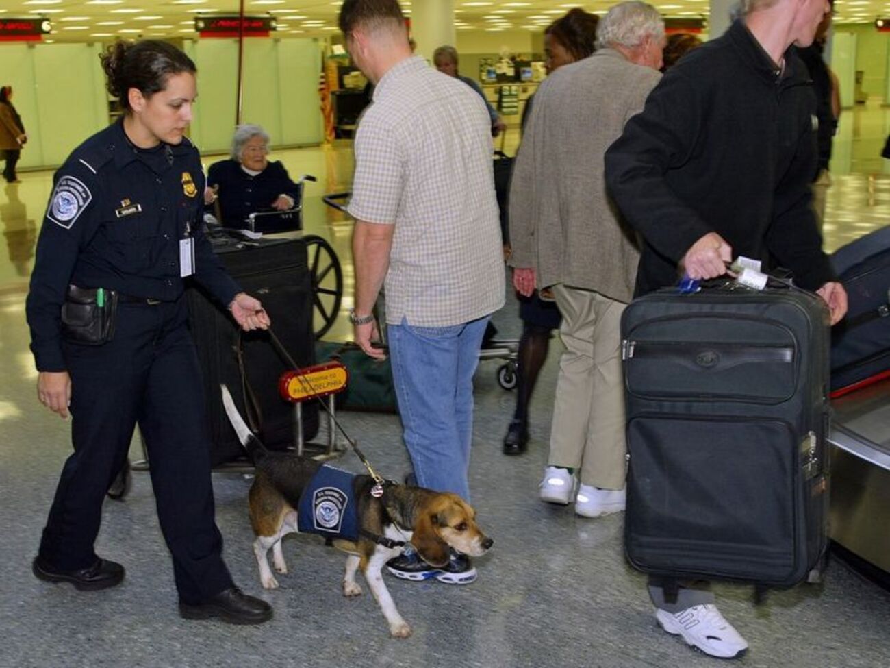 Граждане семи стран из указа Дональда Трампа снова могут попасть в США