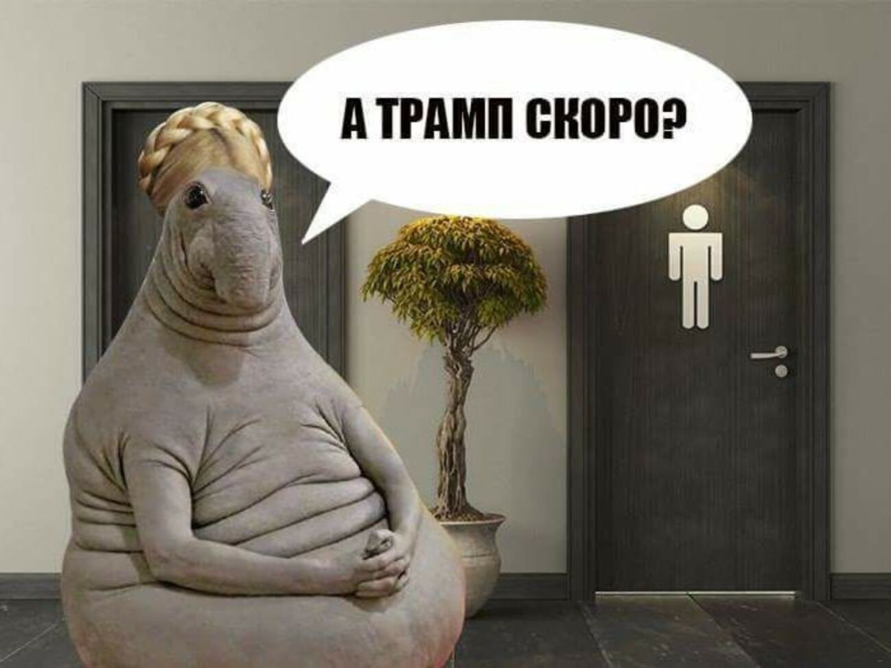 В сети высмеяли встречу Тимошенко и Трампа у туалета. Фотожабы