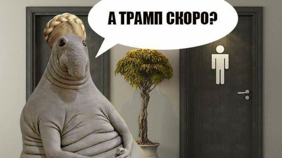 У мережі висміяли зустріч Тимошенко й Трампа біля туалету. Фотожаби