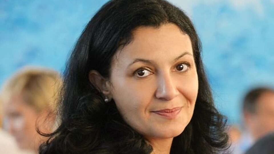 Климпуш-Цинцадзе звернула увагу європарламентарів на гуманітарну ситуацію в Авдіївці